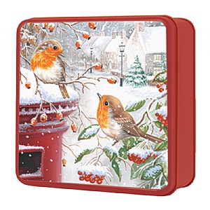 Grandma Wilds Square Tin Robin on Postbox