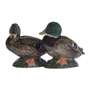 Quail Mallard Salt and Pepper Set
