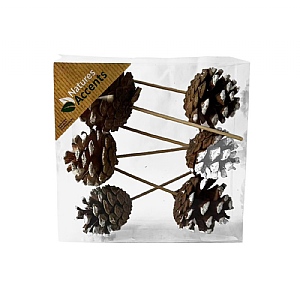 Snowy Pinecone Picks - Box (5cm)