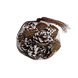 Natural Snowy Pinecones - Bag (250g)