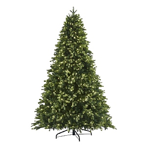 6.5ft Pre-Lit Oakley Fir Artificial Christmas Tree