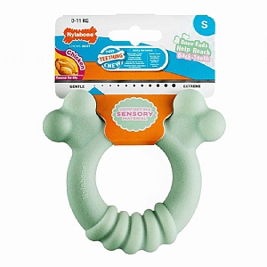 Nylabone Puppy Teething Chew Tactile Ring Chicken Flavour (Small)