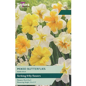 Narcissus 'Mixed Butterflies' (5 Bulbs)