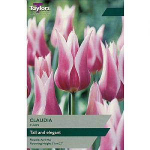 Tulip 'Claudia' (8 Bulbs)