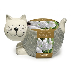 Muscari Novelty Cat Ceramic Gift Planter