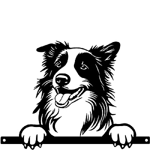 Metal Collie Peeking Silhouette