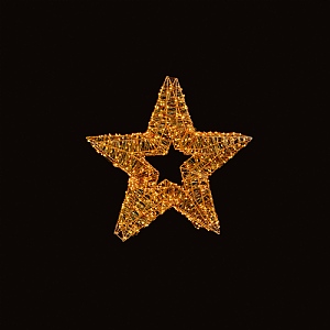 Premier Rose Warm White LED Star (60cm)