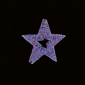 Premier White Rainbow LED Star (60cm)
