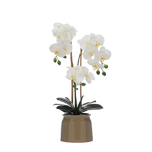 Faux 3 Stem White Orchid In Pot (56cm)