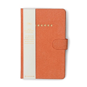 Designworks Ink Mini Password Journal - Asterisk