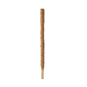 BetterGrow Extendable Coir Pole (70cm)