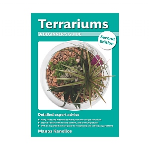 Terrariums: A Beginner's Guide