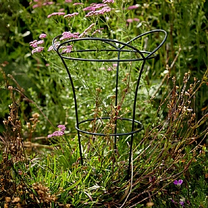 Tom Chambers Cottage Garden Basket Black (Small)
