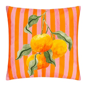 Furn. Oranges Outdoor Cushion Orange (43x43cm)