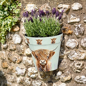 Zest Wall Pot Highland Cow