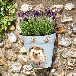 Zest Wall Pot Hedgehog