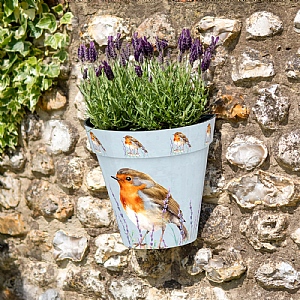 Zest Wall Pot Robin