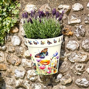 Zest Wall Pot Butterflies