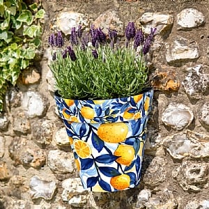 Zest Wall Pot Seville