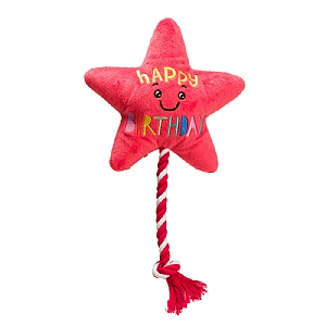 House Of Paws Star Balloon with Rope Dog Toy