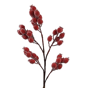 Decoris Red Stem Decoration (20cm)