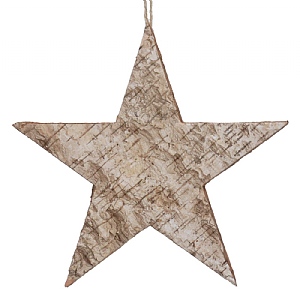 Gisela Graham Silver Birch 5-Point Star Hanging Decoration (20cm)