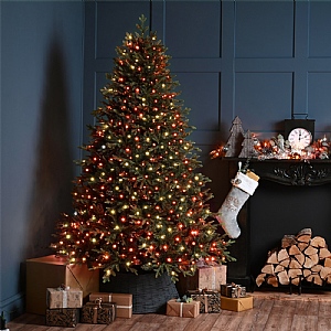 Firefly Lights - Winter Wish (500 LEDs)