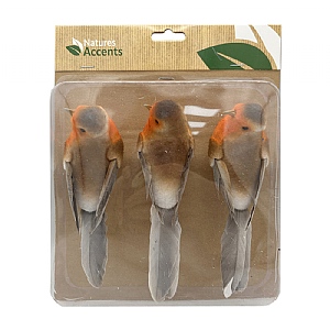 Robin Clip Set of 3 (14cm)