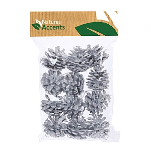 Silver Pinecone Hanging Decoration Set of 12