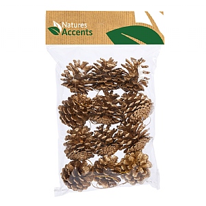 Gold Pinecone Hanging Decoration Set of 12