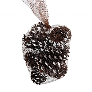 Snowy Pinecones Bag (Large)