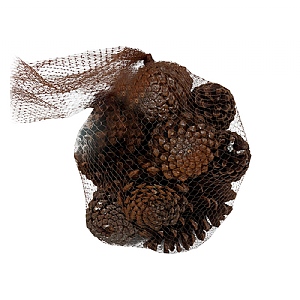 Natural Pinecones Bag (Large)