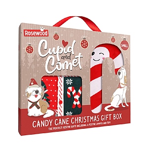 Rosewood Cupid and Comet Candy Cane Christmas Gift Box (Small)