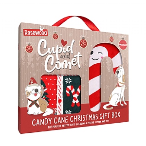 Rosewood Cupid and Comet Candy Cane Christmas Gift Box (Medium)