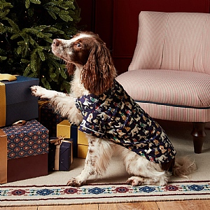 Rosewood Joules Festive Dog Pyjamas (Small)