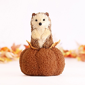 Hedgehog on Pumpkin Decoration (17cm)