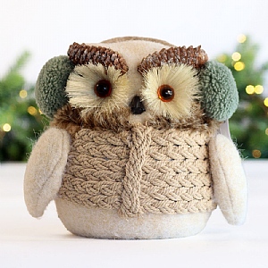 Owl with Earmuffs Decoration (21cm)