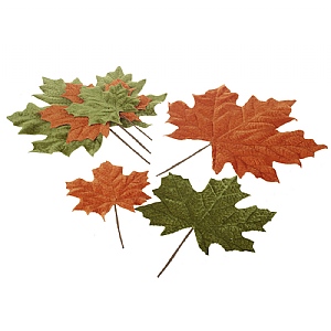 Green & Brown Autumn Leaves Set