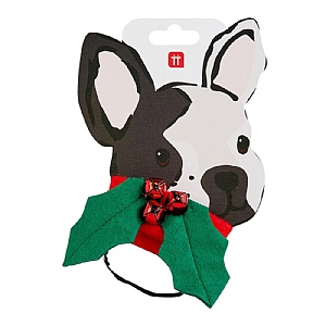 Talking Tables Botanical Hound Holly Dress Up with Velcro Fastening (Small/Medium)