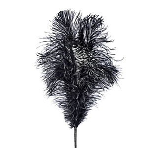 Ostrich Feather Spray - Black (56cm)