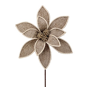Edge Poinsettia Stem - Khaki (56cm)