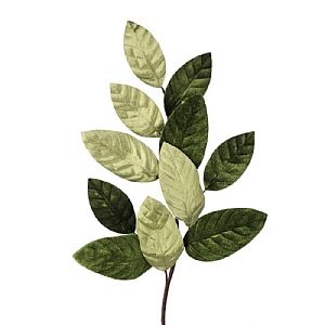 Velvet Magnolia Leaf Spray - Green (15cm)