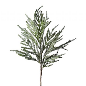 Iced Garden Norfolk Pine Branch - Natural Frost (30")