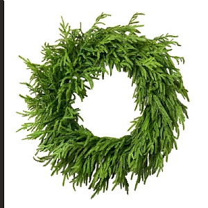 Justcut Norfolk Pine Wreath (30")