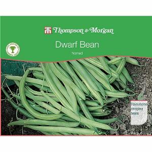 Thompson & Morgan Award of Garden Merit Dwarf Bean Nomad