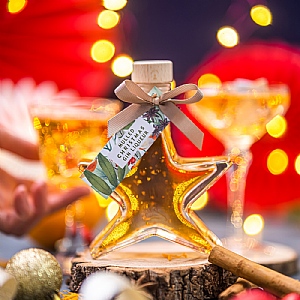 Friary Christmas Mulled Gin Star (100ml)