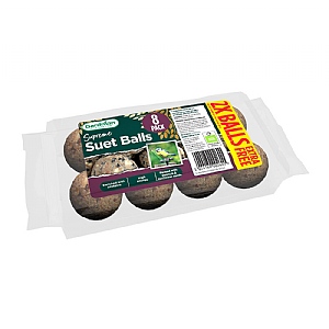 Gardman Supreme Suet Balls (6 pack +2)