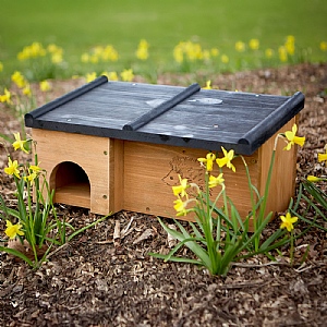 Tom Chambers Prickles Hedgehog House FSC