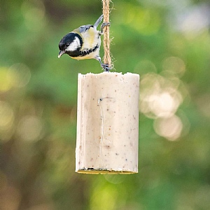 National Trust Original Peanut Cake (500ml)