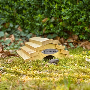 National Trust Frog & Toad House (H 93 x W 197mm)